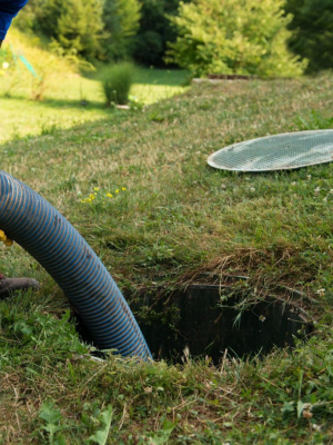 Design sem nome - 2025-05-19T141049.892